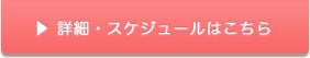 詳細・スケジュールはこちら