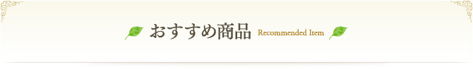 おすすめ商品